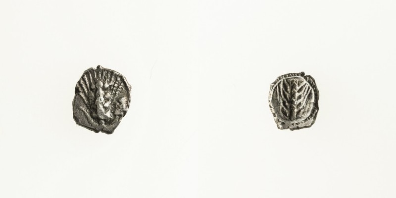 Monete della Magna Grecia - Lucania - Magna Graecia coins 
Metapontion - Obolo ...
