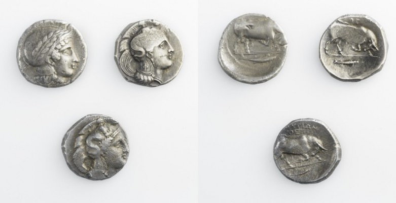 Monete della Magna Grecia - Lucania - Magna Graecia coins 
Thurium - Secoli V/I...