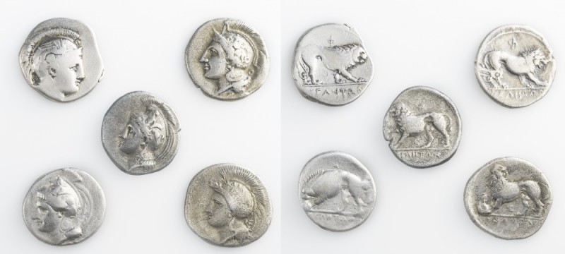 Monete della Magna Grecia - Lucania - Magna Graecia coins 
Velia - Didramma dat...