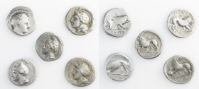 Monete della Magna Grecia - Lucania - Magna Graecia coins 
Velia - Didramma databile al periodo 350-280 a.C. - gr. 7,31 - Leggero graffito al diritto...