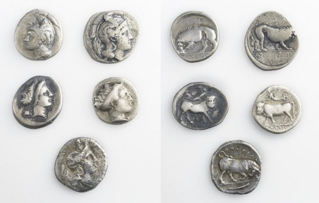 Monete della Magna Grecia - Lotti - Magna Graecia coins 
Secoli V/III a.C. - In...