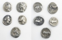 Monete della Magna Grecia - Lotti - Magna Graecia coins 
Secoli V/III a.C. - Insieme di cinque monete - Con riferimento al SNG Copenhagen sono presen...