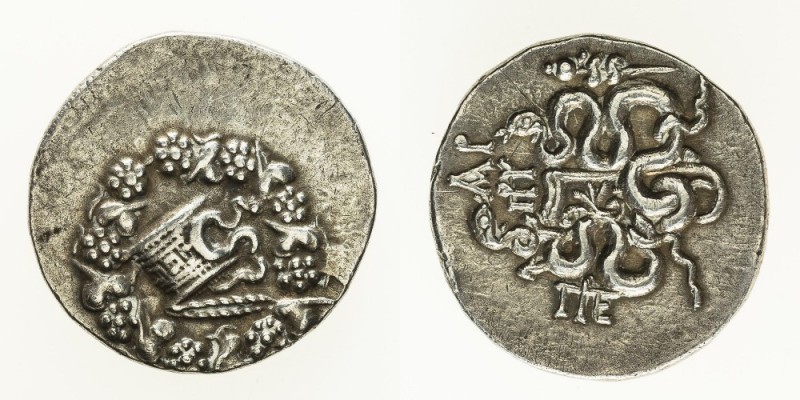 Monete Greche - Mysia - Greek coins 
Pergamo - Cistoforo databile fra il 133 e ...