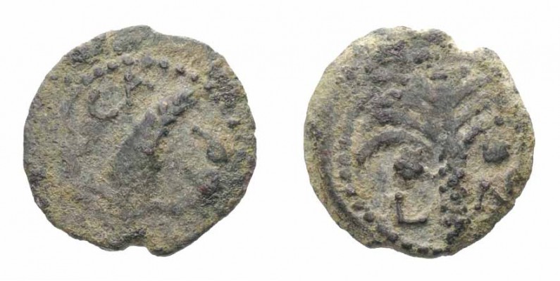 Monete Giudaiche - Augusto - Jewish coins 
Periodo di Augusto - Marcus Ambibulu...