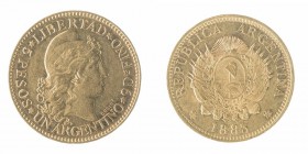 Monete Oltremare - Argentina - Overseas coins 
Repubblica (dal 1816) - 5 Pesos (1 argentino) 1884 - Diritto: effigie di donna a destra rappresentante...