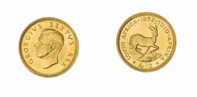 Monete Oltremare - South Africa - Overseas coins 
Giorgio V (1910-1936) - 1/2 Pound 1952 - Zecca: Pretoria (Friedb. n. 8) - Oro