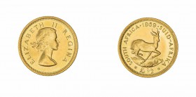 Monete Oltremare - South Africa - Overseas coins 
Giorgio V (1910-1936) - 1/2 Pound 1959 - Zecca: Pretoria (Friedb. n. 10) - Oro