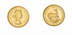 Monete Oltremare - South Africa - Overseas coins 
Giorgio V (1910-1936) - 1/2 Pound 1960 - Zecca: Pretoria (Friedb. n. 10) - Oro