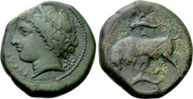 SICILY. Syracuse. Agathokles (317-289 BC). Ae Hemilitron.