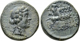 LYDIA. Nysa. Ae (1st century BC). Simon, magistrate.