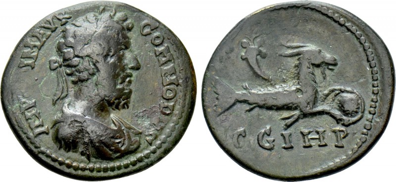 MYSIA. Parium. Commodus (177-192). Ae. 

Obv: IMP CAI M AVR COMMODVS. 
Laurea...