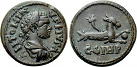 MYSIA. Parium. Caracalla (198-217). Ae.