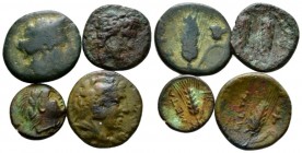 Lucania, Metapontum Lot of 4 Bronzes III cent., Æ 30mm., 9.33g. Lot of 4 Bronzes.

Green patina, About Very Fine-Very Fine.

From the E.E. Clain-S...