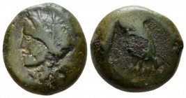 Sicily, Catana Bronze circa 405-402, Æ 18mm., 7.48g. Wreathe head l. Rev. Owl standing l. Calciati 2B. SNG ANS 1271.

Rare, nice light green patina,...