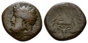 Sicily, Messana Tetras circa 338-331, Æ 14mm., 2.58g. Head of Poseidon l. Rev. Trident between two dolphins. Calciati 16. SNG Copenhagen 422.

Rare,...