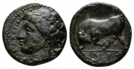 Sicily, Syracuse Bronze circa 317-310, Æ 16.5mm., 3.37g. Head of Persephone l. Rev. Bull butting l. Calciati 107. SNG ANS 603

Attractive dark green...