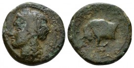 Sicily, Tauromenium Hemilitra circa 310-280, Æ 16mm., 2.66g. Laureate head of Apollo l. Rev. Forepart of bull butting l. Calciati 3. SNG Copenhagen 92...