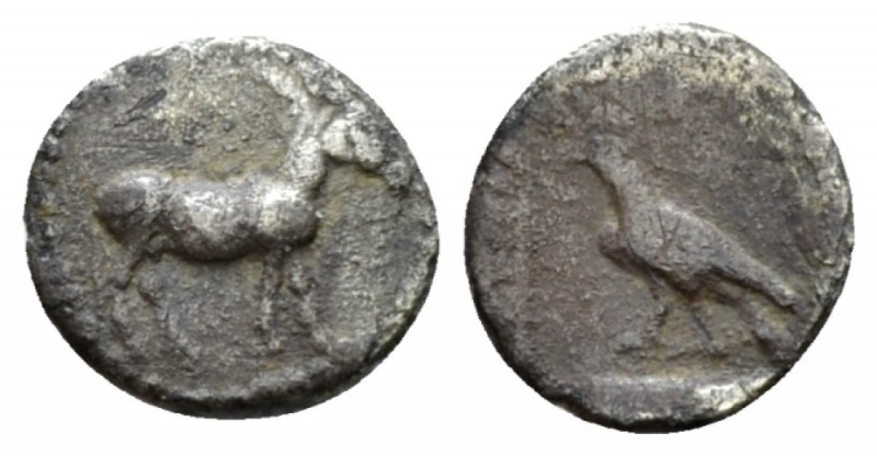 Macedonia, Mende Obol circa 460-430, AR 9mm., 0.40g. Ass standing r. Rev. Crow w...