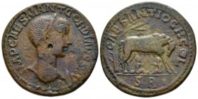 Pisidia, Antioch Gordian III, 238-244 Bronze circa 238-244, Æ 34.5mm., 26.90g. Laureate head r. Rev. She-wolf standing r., head l., suckling the twins...