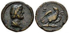 Anonymous issues, temp. Domitian to Antoninus Pius Quadrans circa 81-161, Æ 18mm., 3.11g. Diademed head of Jupiter r. Rev. Eagle standing facing on th...