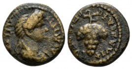 Lydia, Philadelphia Domitia, wife of Domitian Bronze 82-96, Æ 14.5mm., 2.56g. Draped bust r. Rev. Grape bunch. RPC 1336. SNG Cop. 379.

Brown tone, ...