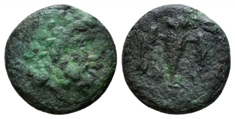 Lucania, Velia Bronze IV-II cent., Æ 13.5mm., 1.71g. Laureate head of Zeus r. Re...