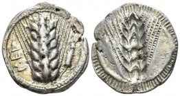 Lucania, Metapontum Nomos circa 510-470, AR 25mm., 7.80g. Barley ear; in r. field, lizard. Rev. Same type incuse. Johnston-Noe 213. Historia Numorum I...