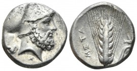 Lucania, Metapontum Nomos circa 340-330, AR 20mm., 7.49g. Head of Leucippus r., wearing Corinthian helmet; behind, seated dog. Rev. Barley ear with st...