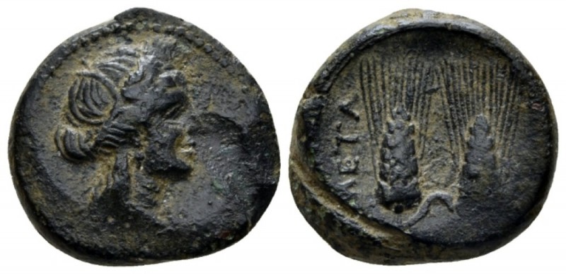 Lucania, Metapontum Bronze late III cent., Æ 17.5mm., 5.39g. Head of Demeter r.,...