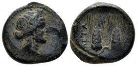Lucania, Metapontum Bronze late III cent., Æ 17.5mm., 5.39g. Head of Demeter r., wearing barley wreath. Rev. Two ears of barley. SNG ANS 599. Historia...