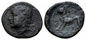 Sicily, Leontini Bronze circa 210-200, Æ 15mm., 1.54g. Laureate head of Apollo l. Rev. Lion advancing l. Calciati 13. SNG Morcom 608.

Rare, brown t...