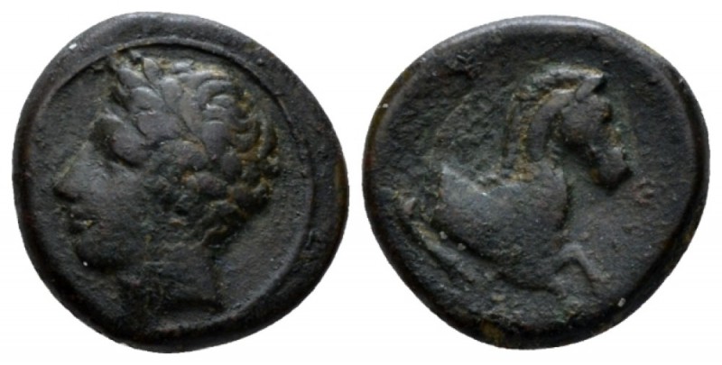 Sicily, Panormus as Ziz Bronze circa 336-330, Æ 13mm., 2.43g. Laureate head of A...