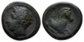 Sicily, Panormus as Ziz Bronze circa 336-330, Æ 13mm., 2.43g. Laureate head of Apollo l. Rev. Forepart of horse; dolphin r. Calciati 12. SNG Copenhage...