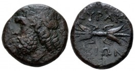 Sicily, Syracuse Bronze circa 289-287, Æ 21.5mm., 7.74g. Head of Zeus Eleutherios l. Rev. Thunderbolt. SNG Copenhagen 782. Calciati 148.

Dark brown...