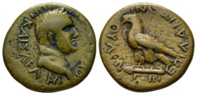 Phrygia, Amorium Vespasian, 69-79 Bronze circa 69-79, Æ 25.6mm., 5.99g. Laureate head r. Rev. Eagle standing l. on thyrsos. RPC 1423. SNG von Aulock 3...