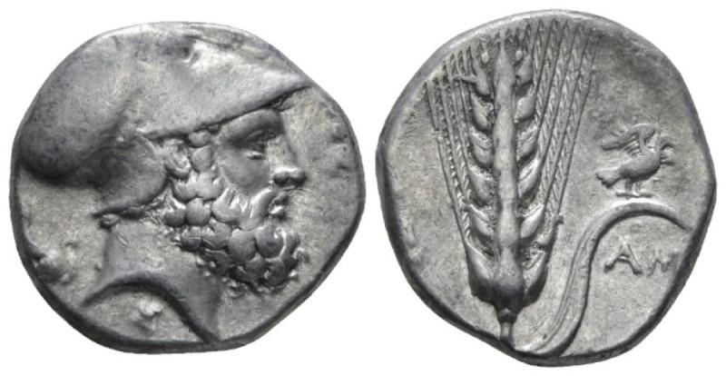 Lucania, Metapontum Nomos circa 340-330, AR 19mm., 7.81g. Head of Leucippus r., ...