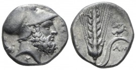 Lucania, Metapontum Nomos circa 340-330, AR 19mm., 7.81g. Head of Leucippus r., wearing Corinthian helmet; behind, seated dog. Rev. Barley ear with st...
