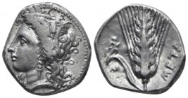 Lucania, Metapontum Nomos circa 330-290, AR 21mm., 7.92g. Head of Demeter l., wearing earring and barley wreath. Rev. Ear of barley, with leaf to l., ...