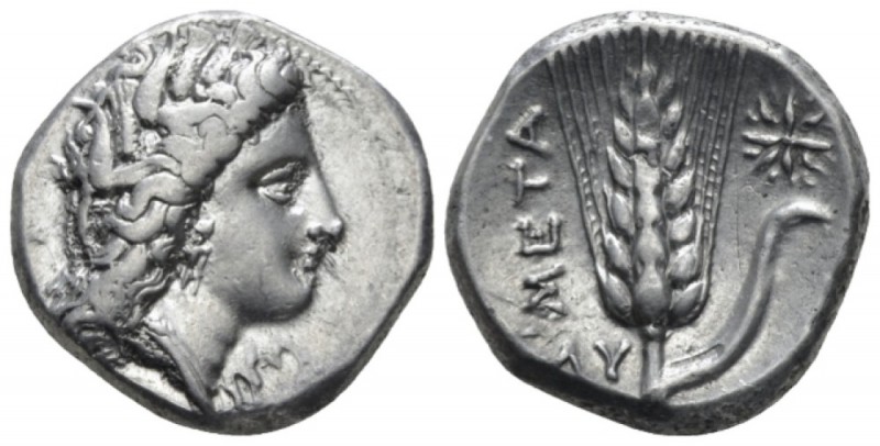 Lucania, Metapontum Nomos circa 330-290, AR 21mm., 7.86g. Head of Demeter r., we...