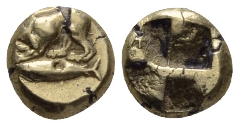 Mysia, Cyzicus Hemihecte circa 550-475, EL 8mm., 1.12g. Panther l., below tunny....