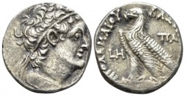 The Ptolemies, Ptolemy IX Soter II, 116-107. Alexandria Tetradrachm circa 107-106, AR 25mm., 13.38g. Diademed bust of Ptolemy r., wearing aegis. Rev. ...