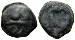 Celtic, Leuques Bronze circa 75-50 BC, Æ 17.7mm., 5.82g. Head l., the hair represented by three locks. Rev. Boar l. LT.9044. PK.102
 
 Dark green pa...
