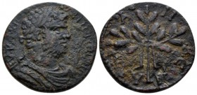 Caria, Alabanda Caracalla, 198-217 Bronze circa 198-217, Æ 26.2mm., 10.21g. AVKM – ANTΩNINOC Laureate, draped and cuirassed bust r. Rev. AΛAB – Α – N ...