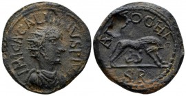 Pisidia, Antioch Gallienus, 253-268 Bronze circa 253-268, Æ 28.8mm., 15.79g. Radiate and draped bust r. Rev. She-wolf standing r., suckling the twins,...