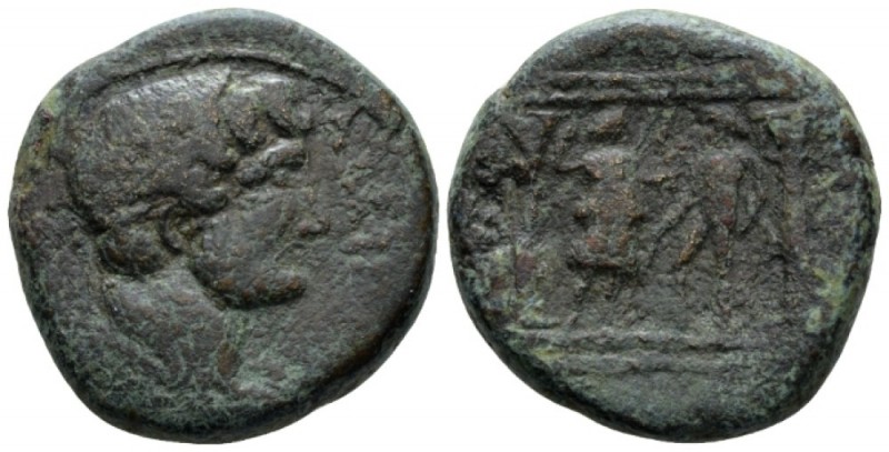 Judaea, Gaza Hadrian, 117-138 Bronze circa 132-133, Æ 27.6mm., 22.37g. Laureate ...