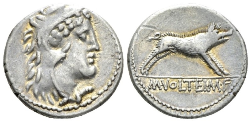 M. Volteius M.f. Denarius 78, AR 19mm., 4.03g. Head of Hercules r., wearing lion...