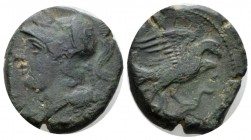 Samnium, Aesernia Bronze circa 263-240, Æ 22mm., 6.23g. Helmeted head of Minerva l. Rev. Eagle r., grasping snake. SNG ANS 117. Historia Numorum Italy...