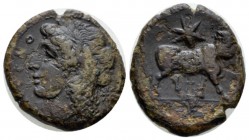 Campania, Cales Bronze circa 265-240, Æ 23mm., 6.45g. Laureate head of Apollo l. Rev. Man-faced bull advancing r.; above, star. SNG ANS 183. Historia ...