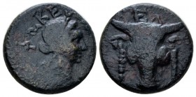 Phocis, Elateia Bronze III cent. BC, Æ 18.5mm., 5.73g. Facing bull head, above EΛ. Rev. Wreathed head of Apollo r., ΦΩKEΩN l. up circular. BCD Lokris-...