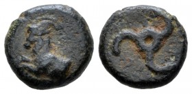 Lycia, Pericles, 380-360. Bronze circa 380-360, Æ 10mm., 1.28g. Forepart of goat l. Rev. Triskeles. SNG von Aulock 4262. BMC 163.

Green patina, Ver...